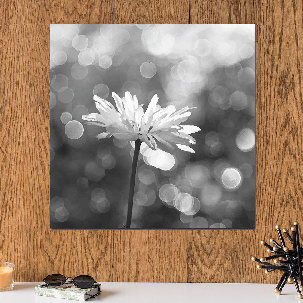 لوحة زهرة أبيض و أسود خشب ام دي اف مقاس 30x30 سنتيمتر موقع ماركات دوت كوم تسوق أونلاين بالسعودية لوحات فنية تيشرتات والمزيد