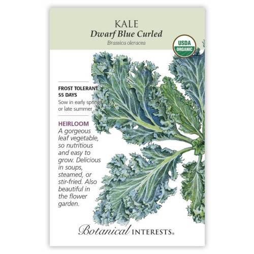 بذور كيل مجعد - Kale Dwarf Blue Curled Seeds