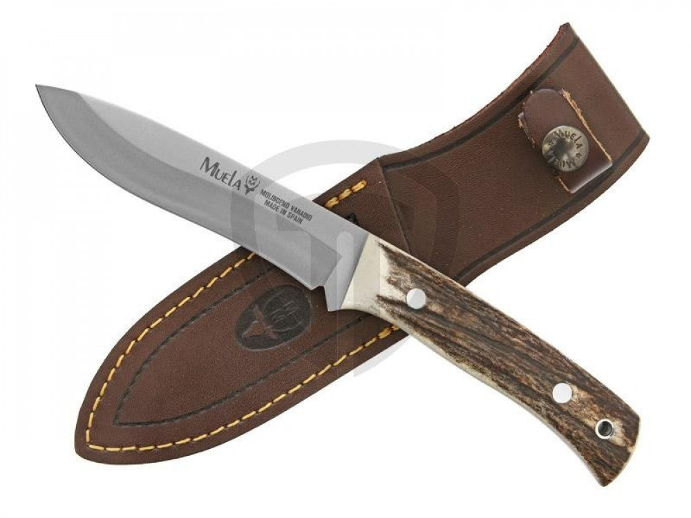 سكين نصل ثابت  COMF-11A من شركة مويلا الاسبانية ( Muela) .