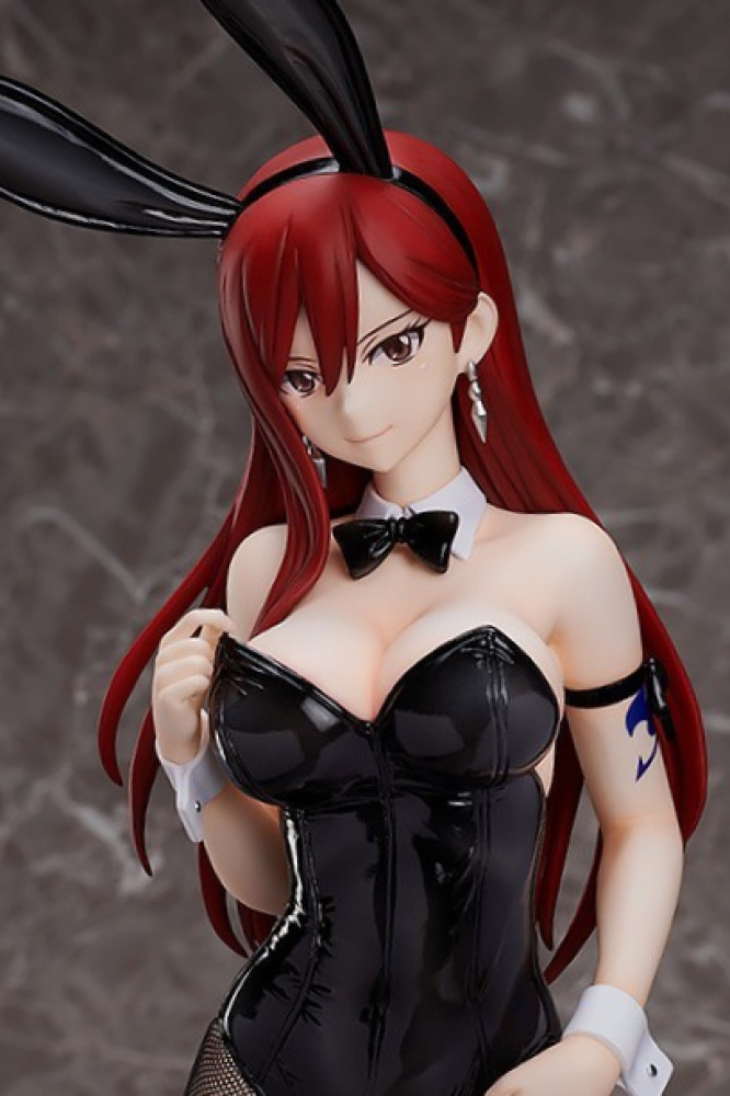 Fairy Tail Erza Scarlet Bstyle