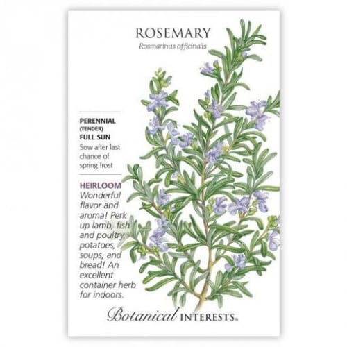 بذور اكليل الجبل - Rosemary Seeds