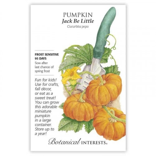 بذور يقطين جاك الصغير - Jack Be Little Pumpkin Seeds