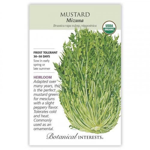 بذور خردل ميزونا - Mizuna Mustard Seeds