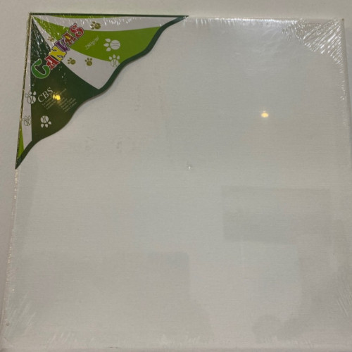 لوحة كانفس 20× 20