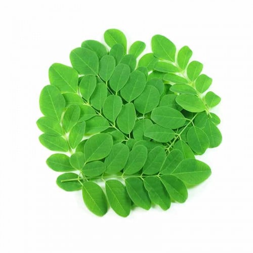 مورينجا شدة (عضوي)