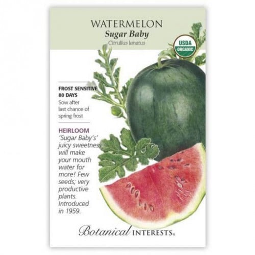 بذور بطيخ بيبي سكري - Sugar Baby Watermelon Seeds