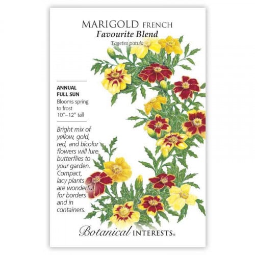 بذور قطيفة فرنسية - Favourite Blend French Marigold Seeds