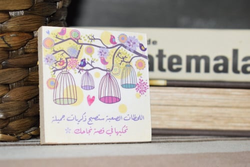 مغناطيس ثلاجة