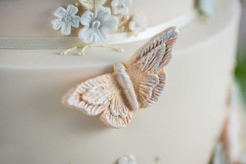 قالب سيليكون Brush Embroidery Butterflies