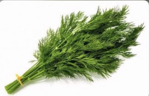 بذور شبت بلدي 43