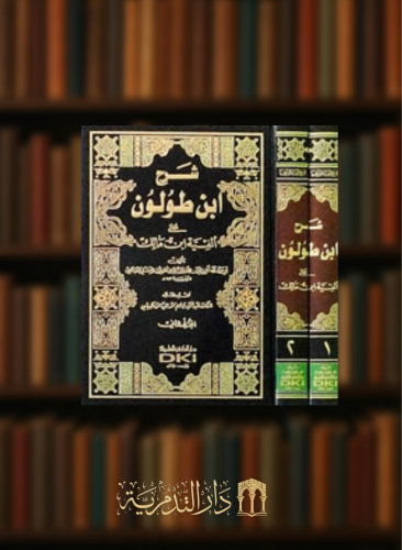 شرح ابن طولون على الفية ابن مالك - مجلدين