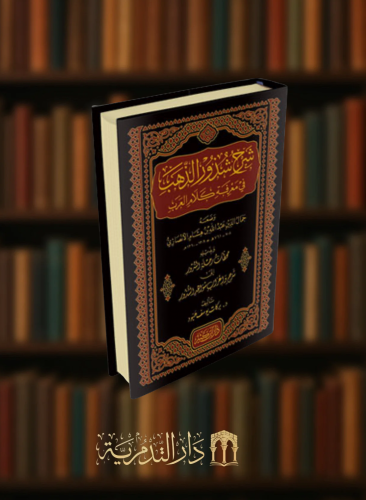 شرح شذور الذهب في معرفة كلام العرب