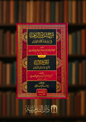 شرح شذور الذهب في معرفة كلام العرب