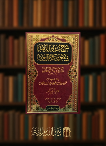 شرح شذور الذهب في معرفة كلام العرب