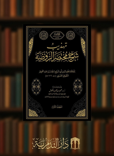 تهذيب شرح مختصر الروضة مجلدين