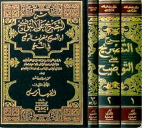 شرح التصريح على التوضيح أو التصريح بمضمون التوضيح في النحو - 3 مجلد