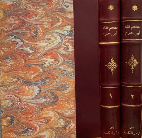 معجم فقه ابن حزم الظاهري 2 مجلد