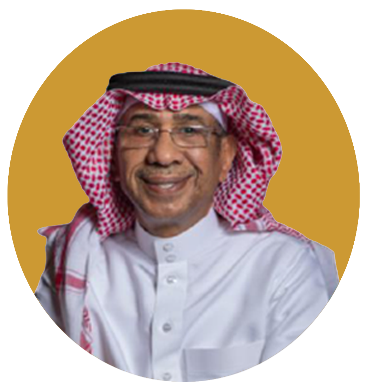ناصر الصالح