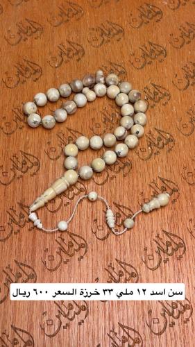 سبحة ناب الاسد ١٢ ملي ٣٣ خرزة