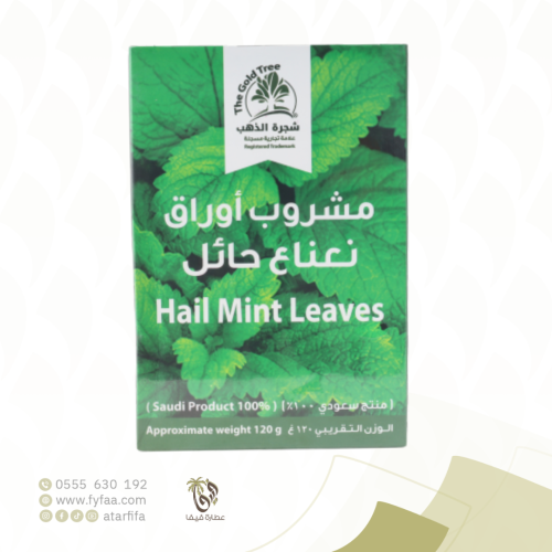 مشروب اوراق نعناع حائل 120 جرام (شجرة الذهب)