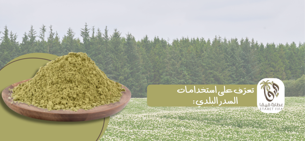 تعرّف على استخدامات السدر البلدي