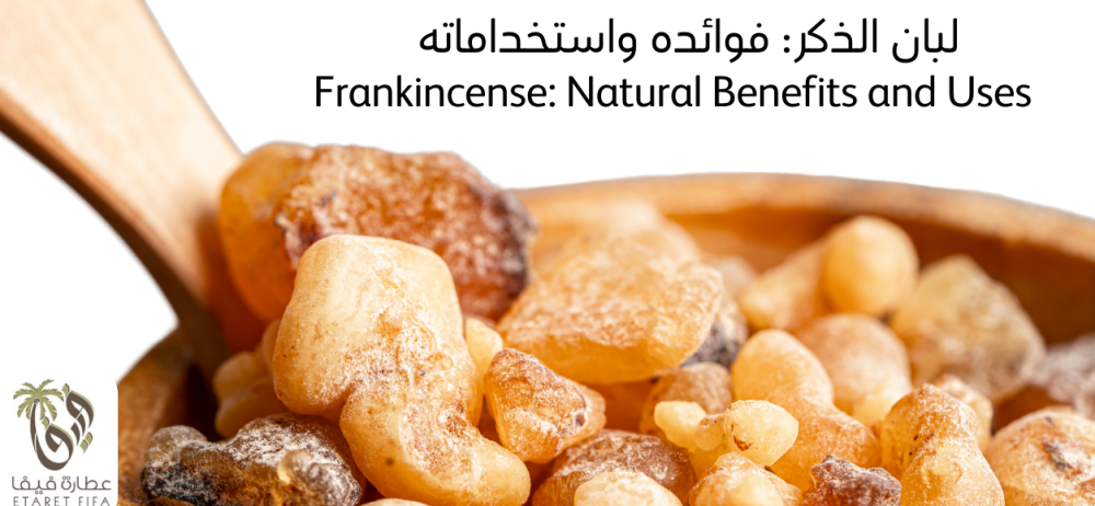 لبان الذكر: فوائده الصحية واستخداماته اليومية