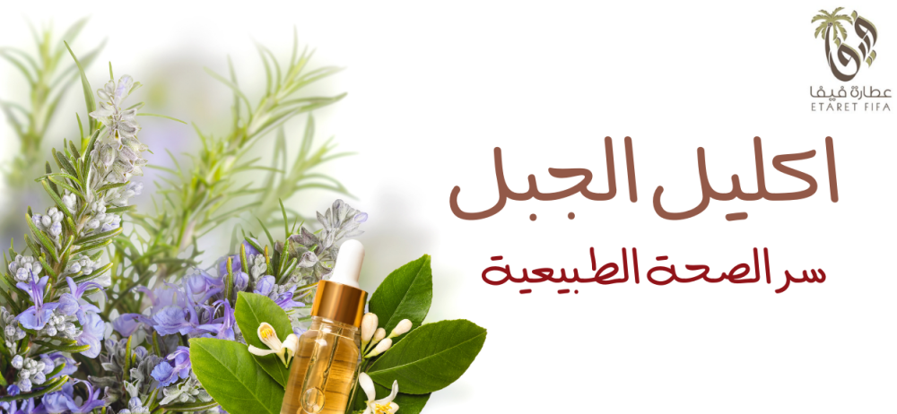 إكليل الجبل: فوائد صحية مذهلة وطريقة استخدامه
