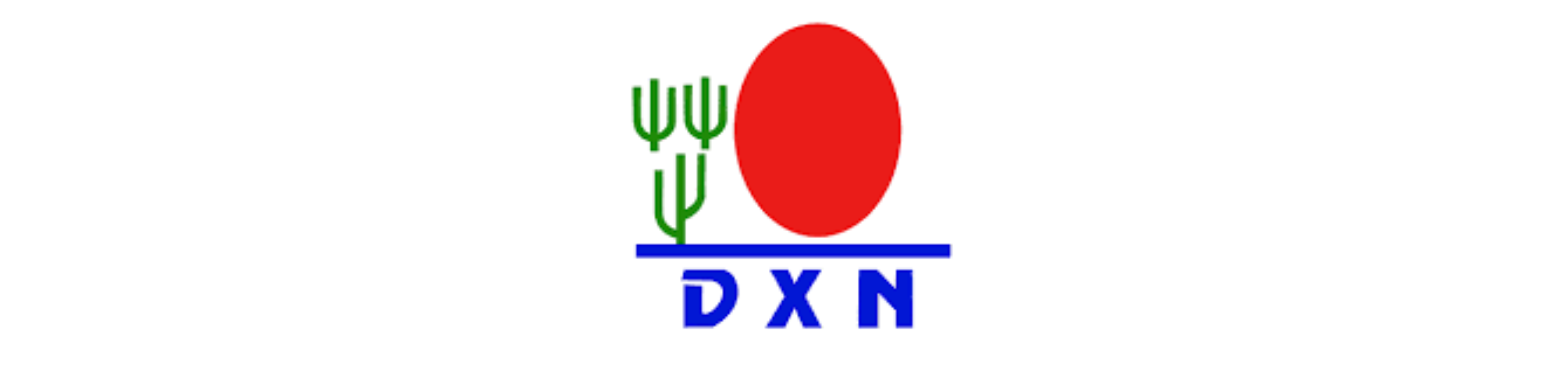 دي اكس ان - DXN