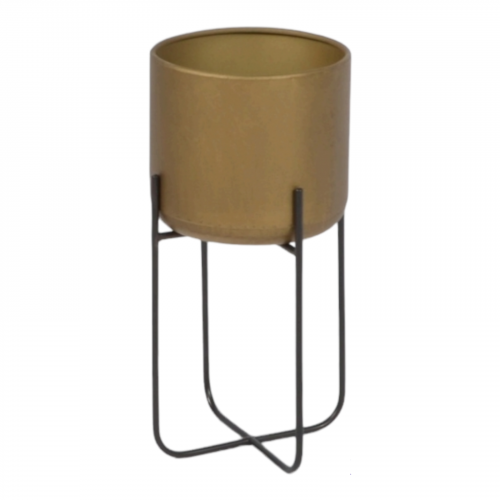 وعاء نباتات ذهبي