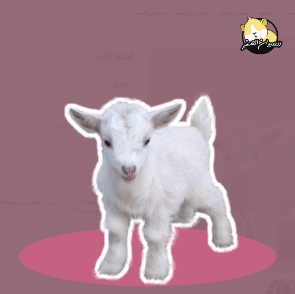 متجر الحيوان الصغير