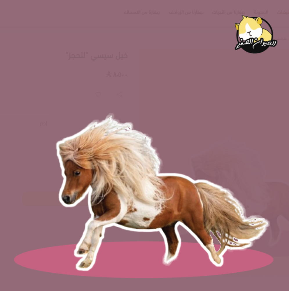 متجر الحيوان الصغير