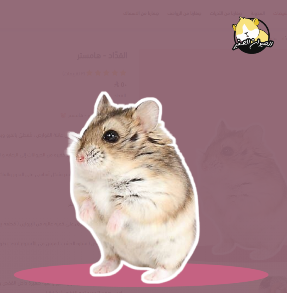 متجر الحيوان الصغير