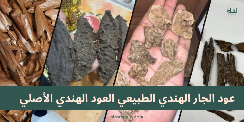 عود الجار الهندي الطبيعي – العود الهندي الأصلي من الفاره للعود