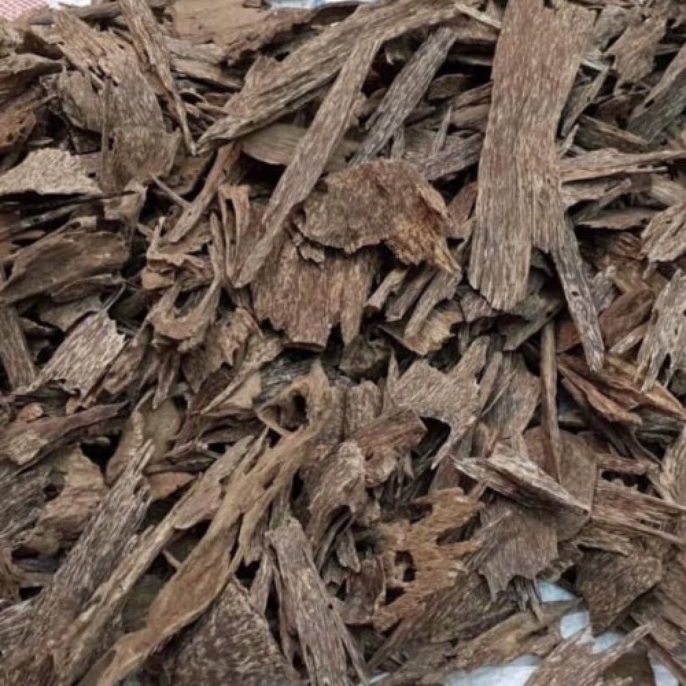 عود كلمنتان بونتيانك سوبر مرتفع ودبل