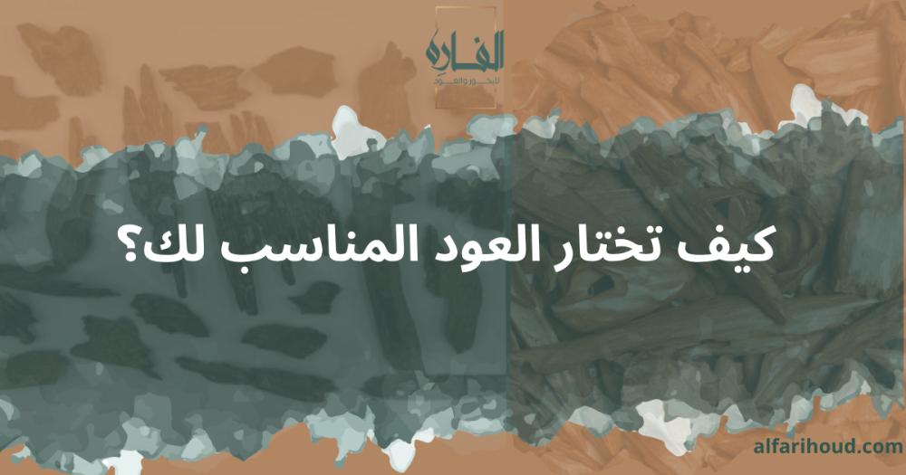 كيف تختار العود المناسب لك؟