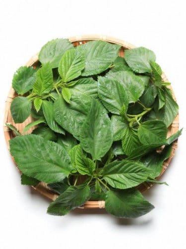 بذور ملوخية 8جم