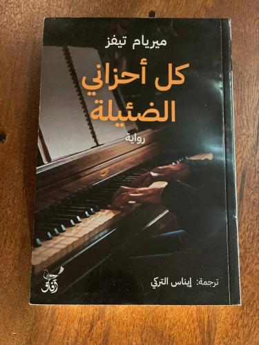 كل أحزاني الضئيلة - مستعمل