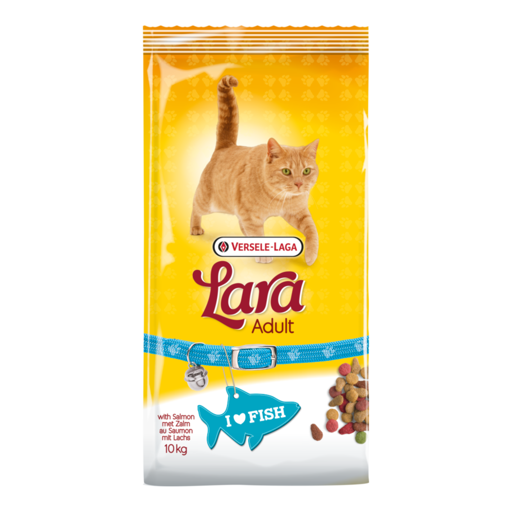 Dry cat shop food 10kg