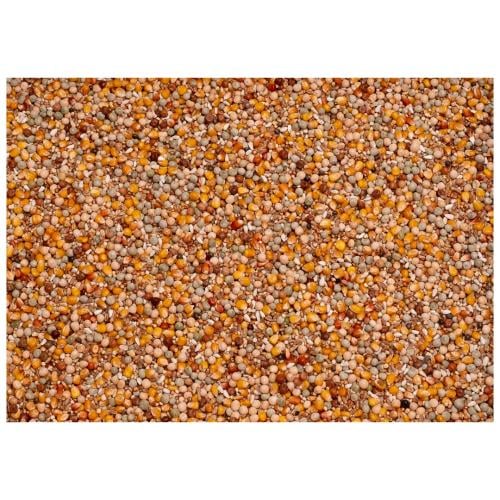 بذور مشكله للمنقوع KWEEK