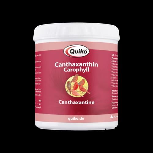 صبغه اللون الاحمر