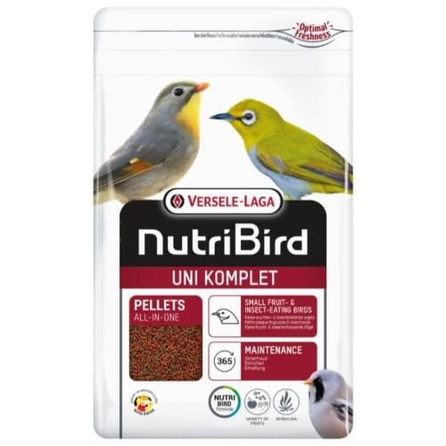 للطيور اكله الحشرات والفواكه