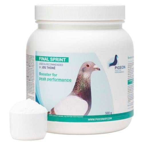 السباق النهائي