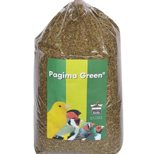 بذور باجيما