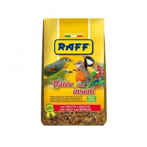 باتيه مع الحشرات