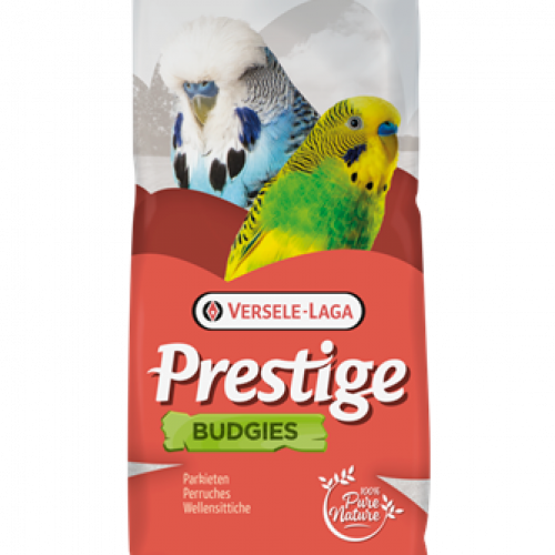 بذور بادجي بالفيتامين