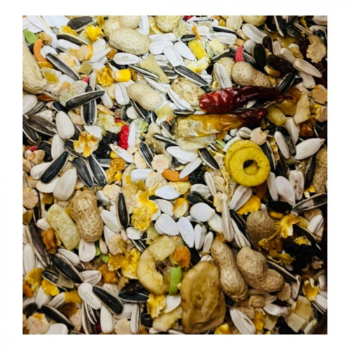 بذور ببغاوات مشكل