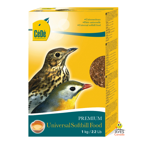 حشرات مجففه مع بيض