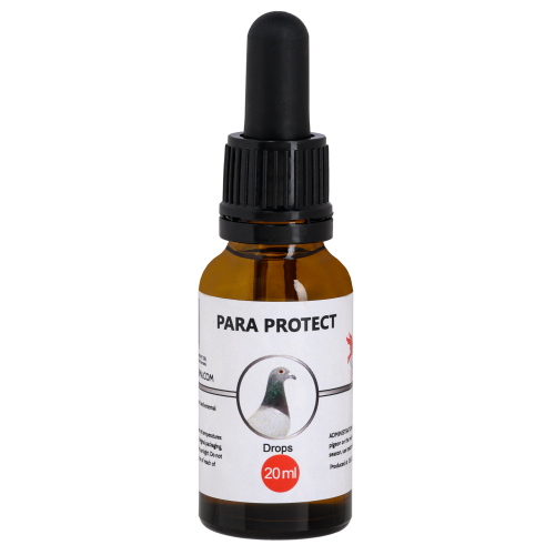 بارا بروتيكت