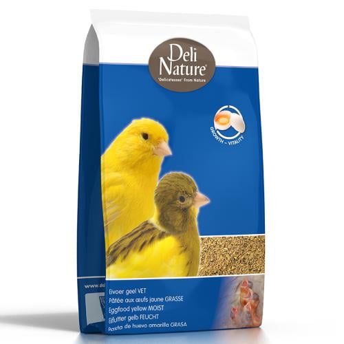 بيض أصفر رطب