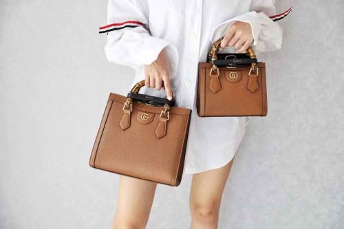 شنطة قوتشي 20cm